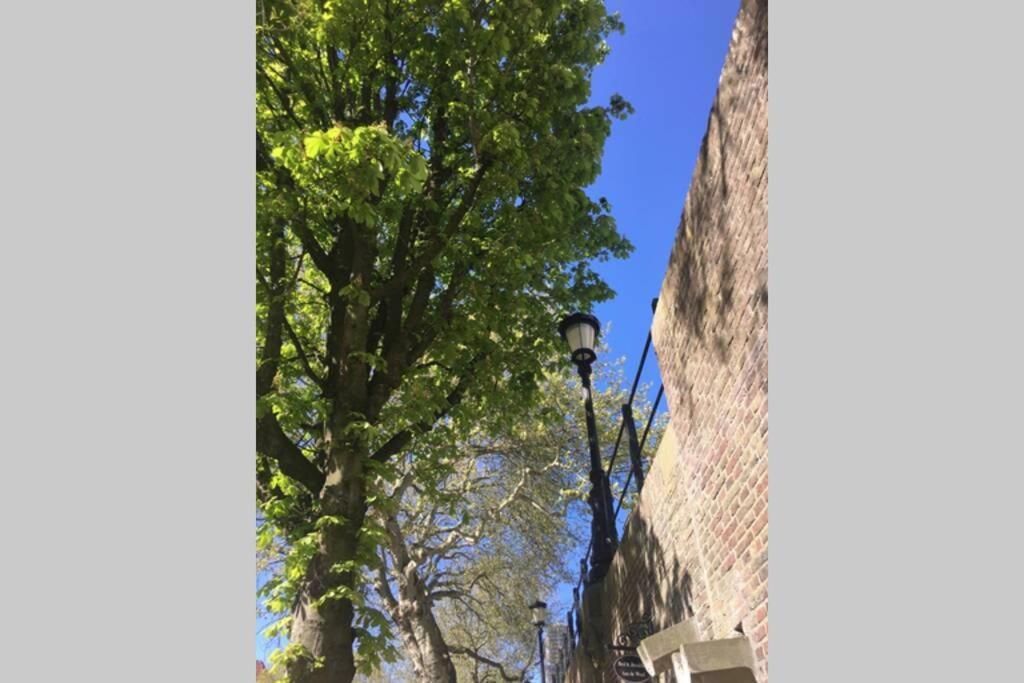 Apartament Werfkelder Aan De Oudegracht Utrecht Zewnętrze zdjęcie
